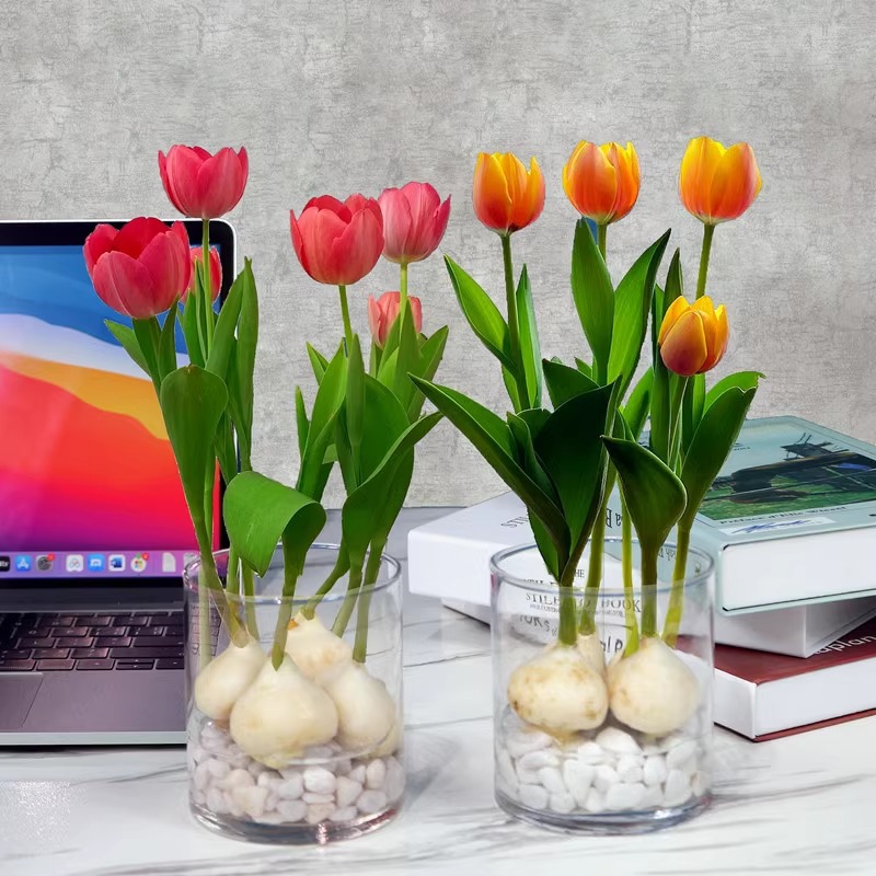 Tulip Bulb Seeds Soil Culture Hydroponic Package Winter Indoor Cold-Resistant Water Culture Potted Bulb Flower Hyacinth