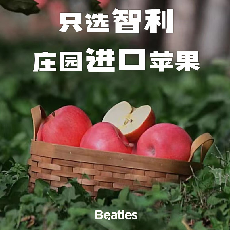 Bidushi Organic Baby Standard Fruit Puree Children's Infant Food Supplement Baby