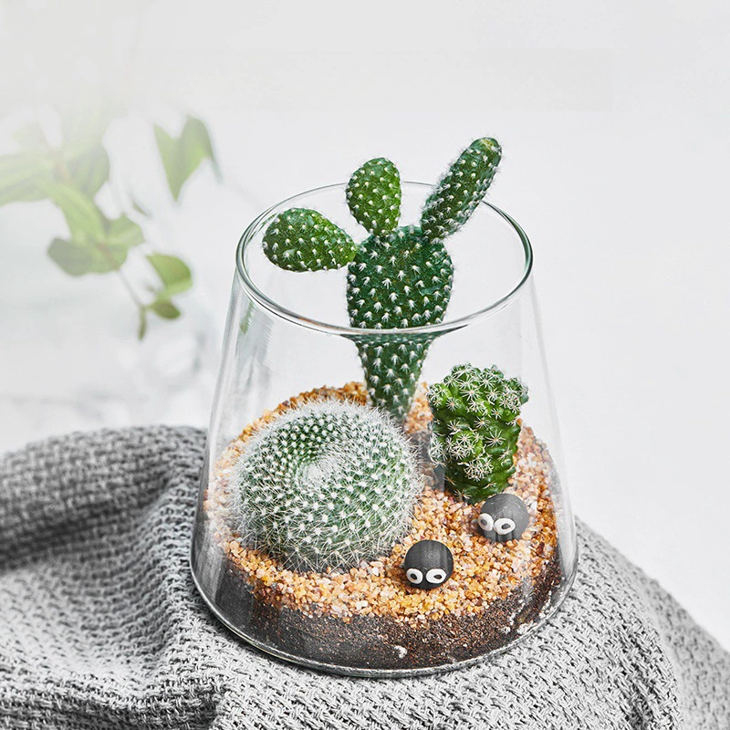 Glass Small Vase Office Micro Landscape Ornaments Volcano Bottle Ecological Bottle Advanced Sense Decorative Hydroponic Plant Bottle