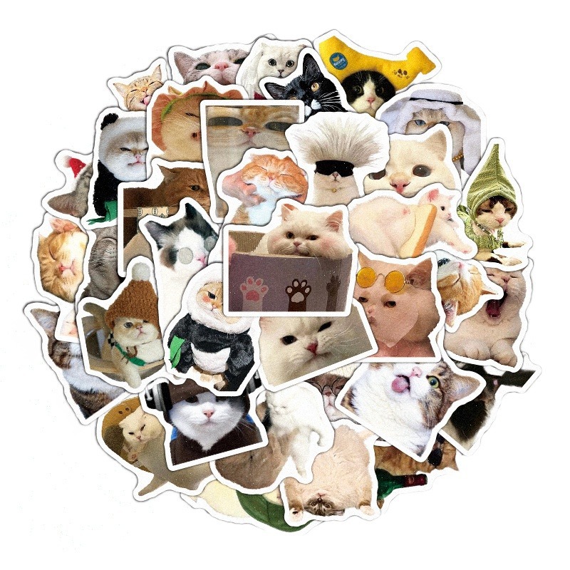 60 cross-border cartoon cat graffiti stickers diy luggage cup notebook self-adhesive waterproof hand account stickers