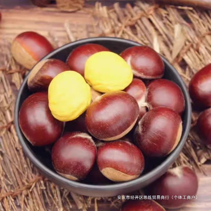 Wild Chestnuts Fresh Oil Chestnuts Dandong 5 Cones Fresh Tender Chestnuts Qianxi Chestnuts Fresh Chestnuts 2025