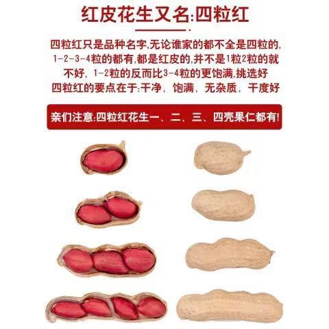 The season's new goods with shell four red northeast specialty red leather with shell farmhouse produced to dry peanuts a generation of hair
