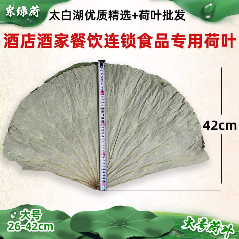 Большой сушеный лист лотоса из озера Тайбай, натуральный цельный сушеный лист лотоса для курицы в листьях лотоса и курицы с клейким рисом