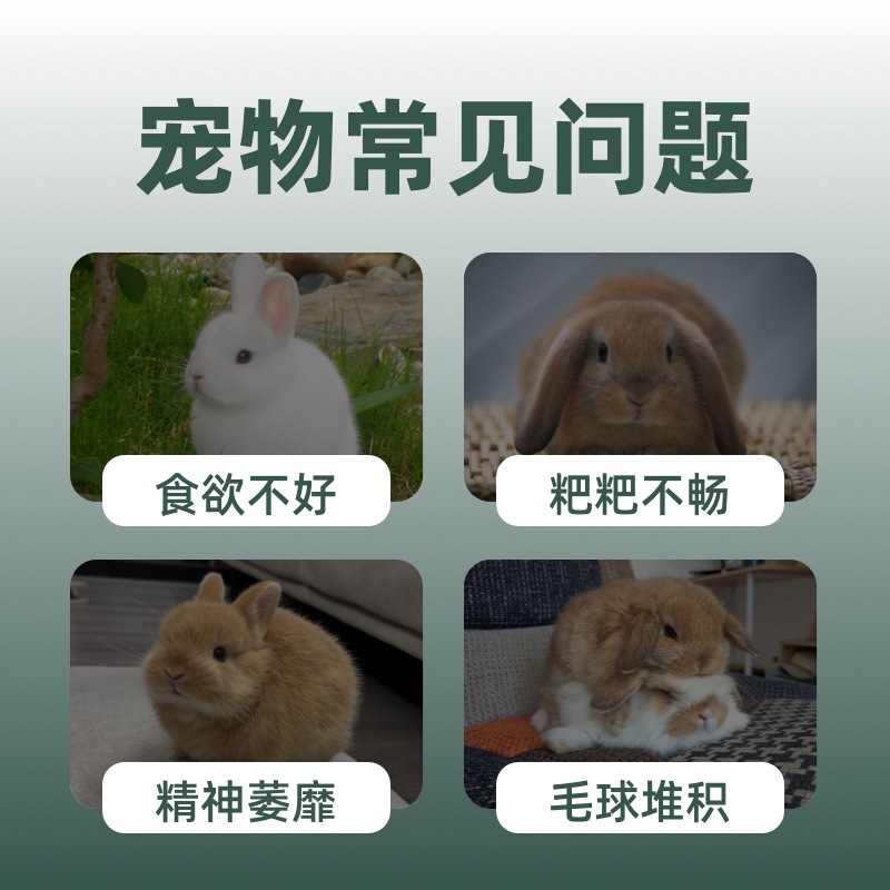 Beiyoupet Papaya Pills and Papaya Slices for Supporting Hair Shedding in Rabbits, Chinchillas, Guinea Pigs, and Dutch Pigs, Nutritional Supplement