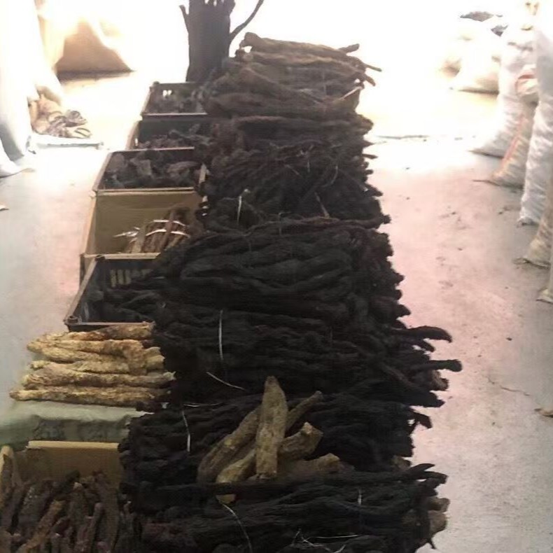 Cistanche Deserticola 500g Inner Mongolia Alxa Soft Branch Whole Root Can Be Sliced Cistanche Deserticola Dayun Men's Nourishing Soaking Water