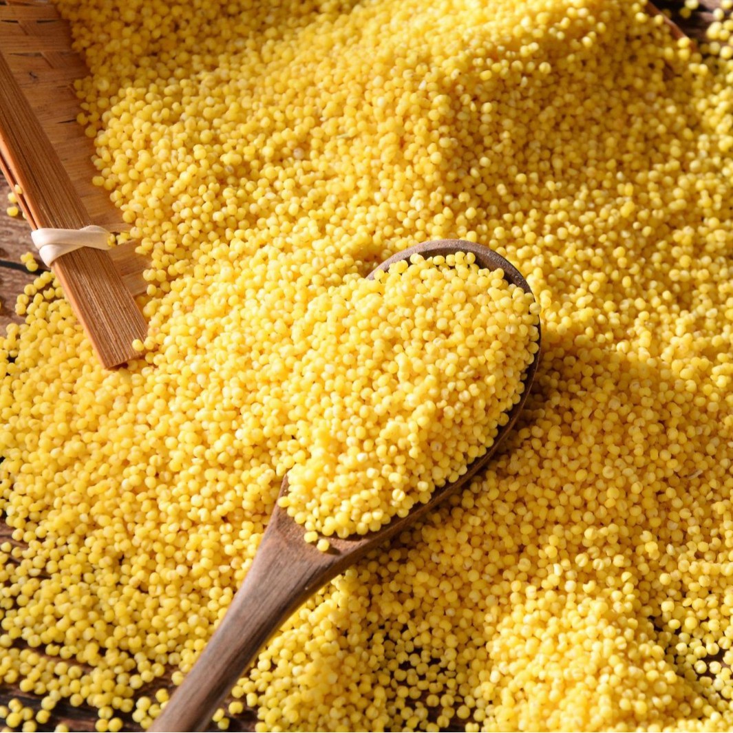 New Beige Tribute Millet Wholesale Vacuum Packaging Inner Mongolia Chifeng Qian Hanqi Huang Millet Grains Millet Porridge