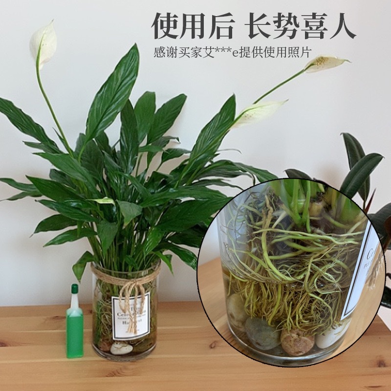 Plant nutrient solution General-purpose household potted rich tree rich bamboo green dill hydroponic flower green plant flower fertilizer