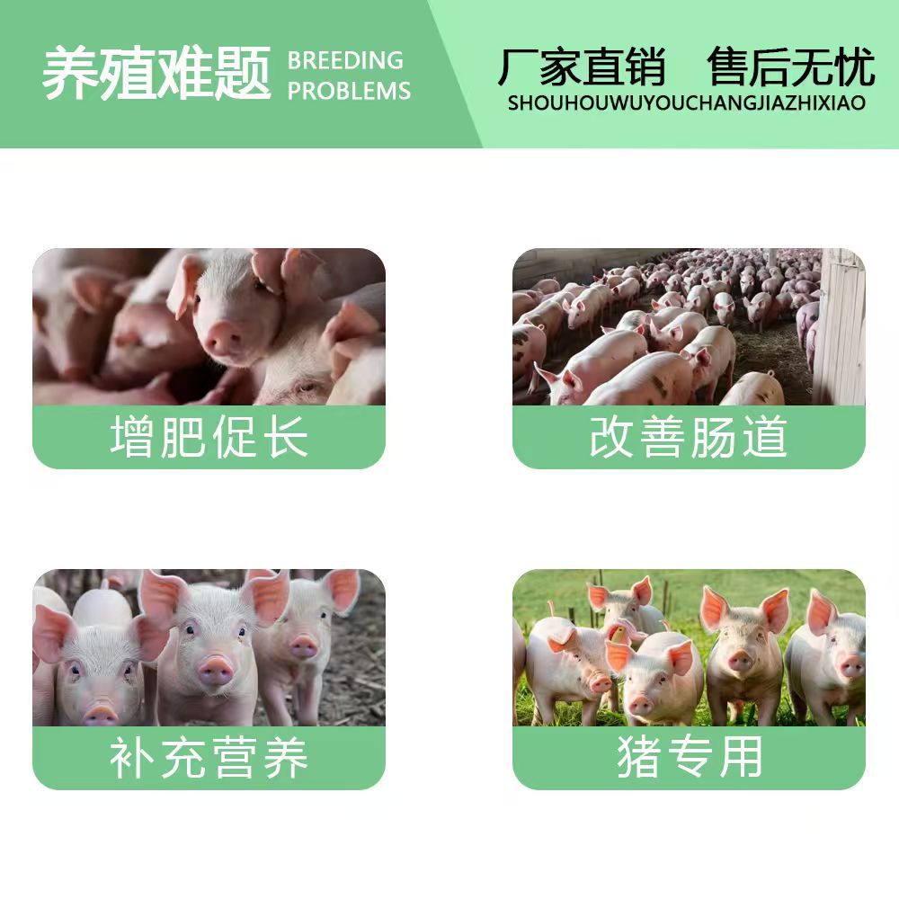 Special Pig Feed for Fattening Pigs, Fattening Pig Feed for Pigs of All Sizes, Nutritional Milk Pig Feed