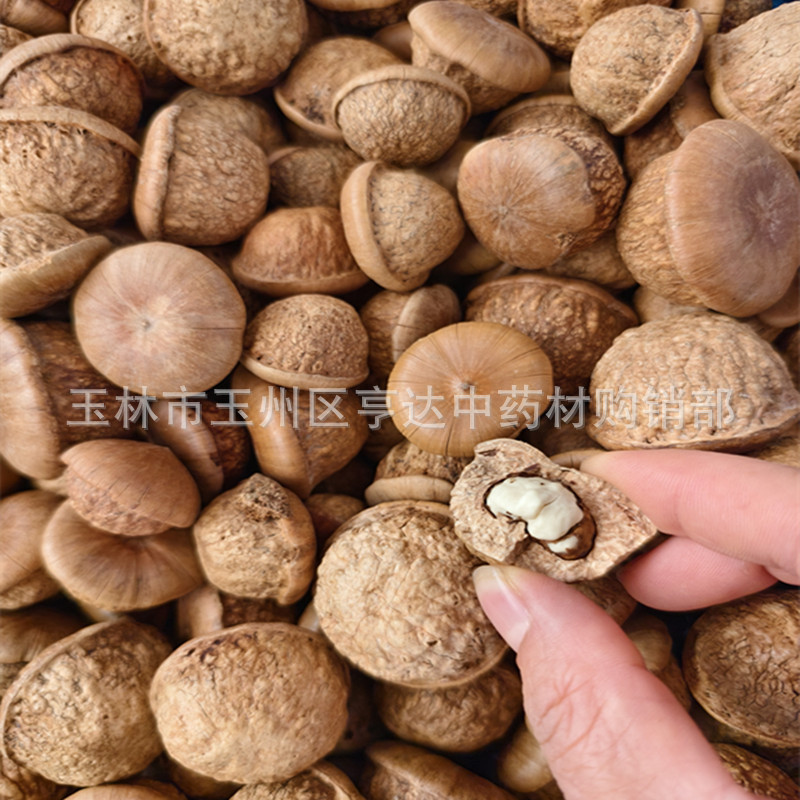 Первичный источник фрукта Фэнлю, капсулы Тяньчжу без оболочки, черепаха Сао, новые товары, выпуклый Магу, сухие товары