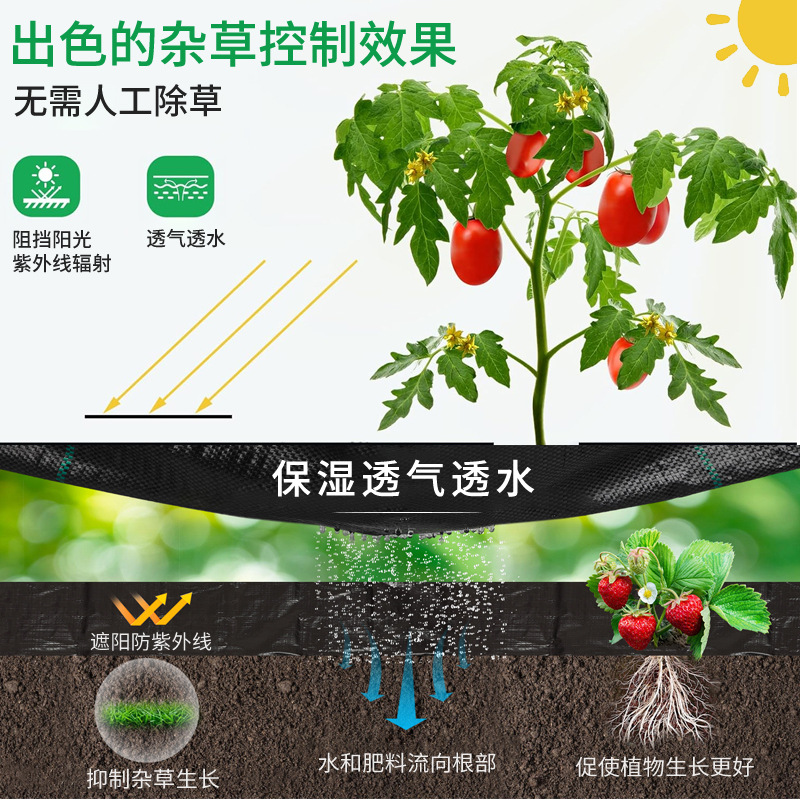 Water-Permeable Weed Control Fabric Wholesale Cross-Border Amazon Greenhouse Agricultural Black Fruit Tree Fabric Gardening Mulch Fabric