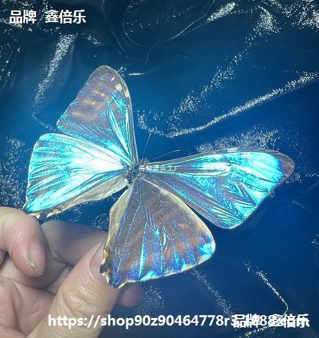 Западный бабочка-махон с расправленными крыльями, оригинальный образец бабочки