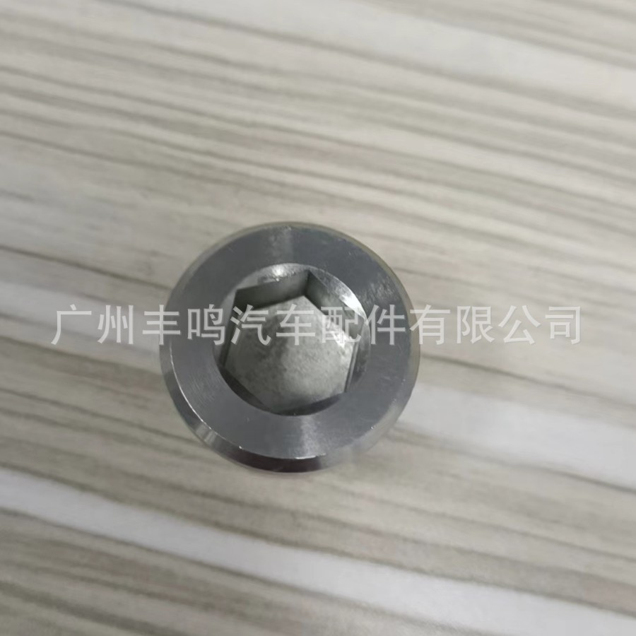 Magnetic Differential Oil Drain Plug with O-Ring No. Oe 33117525064 Suitable for Bmw