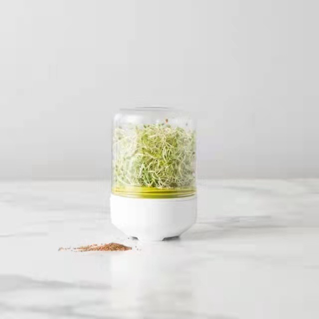 bean sprouts germination pot mung bean sprouts seedling tray bean sprouts tool pot hydroponic vegetable equipment planting box peas