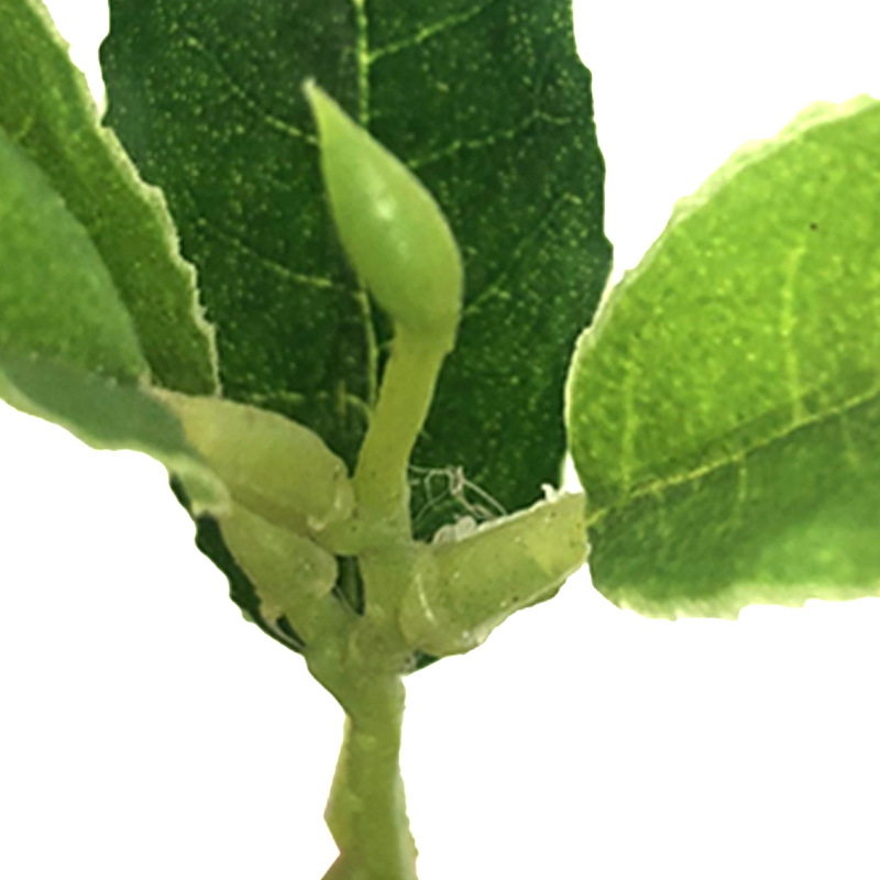 Artificial tea green plant Anji White Tea Maojian tea red green tea single-piece weighing project DIY decoration wholesale