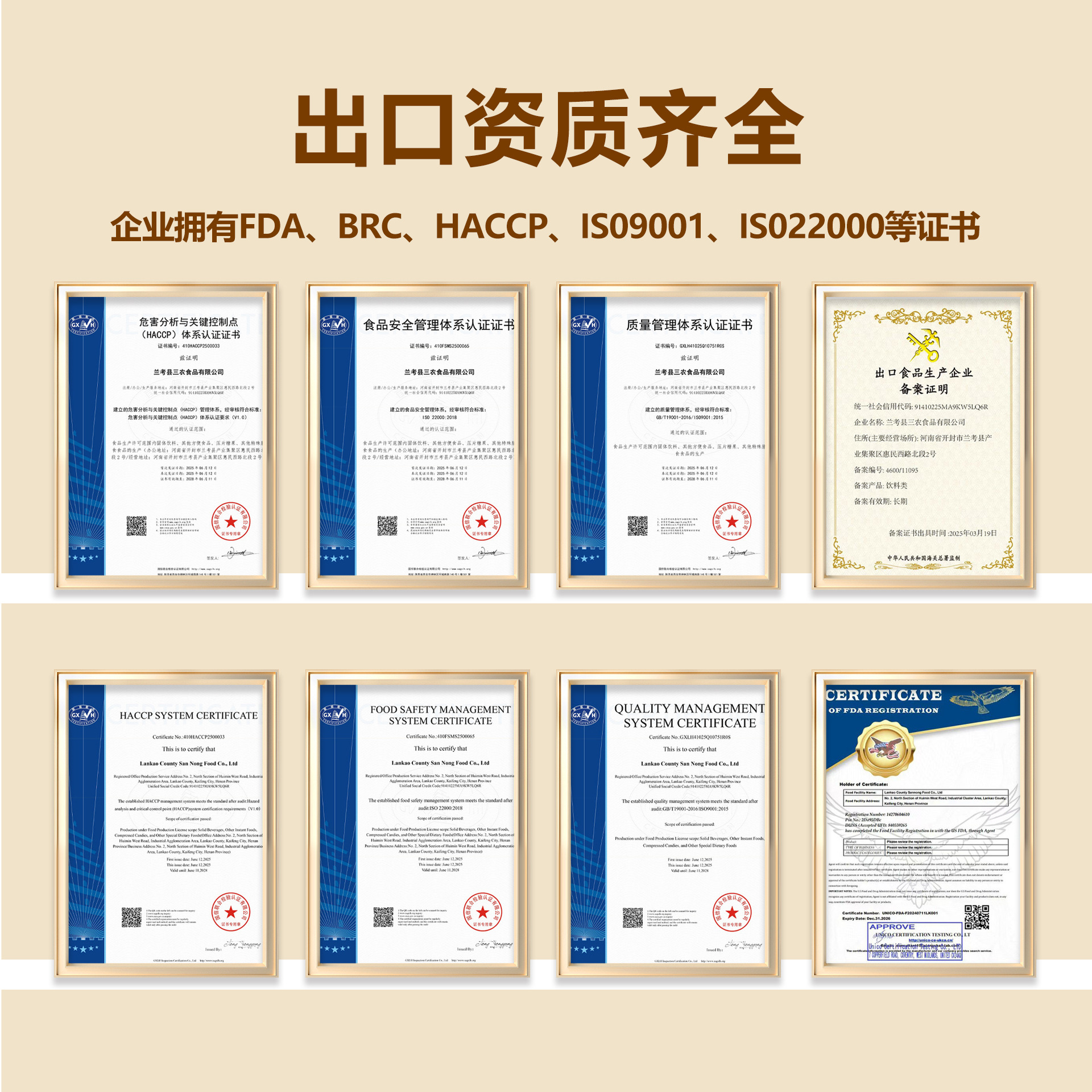 Homogenized Meal for Nasogastric Feeding, Post-Operative Meal Replacement, Individually Packaged Dietary Fiber, Protein, Nutritional Supplement, In-Stock Oem