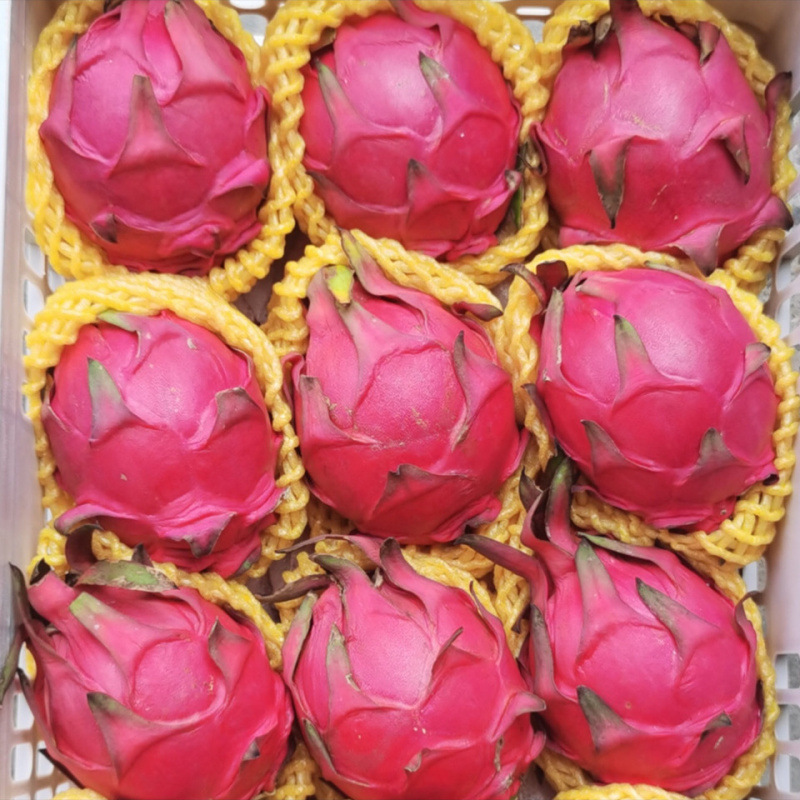 Jindu No.1 fruit fresh whole box wholesale multi-specification red meat dragon fruit honey treasure a wholesale cross-border e-commerce