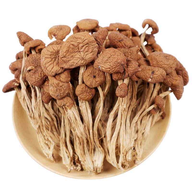 【Net Weight Without Desiccant】Unopened Dried Tea Tree Mushrooms, Fresh Tea Tree Mushroom Ingredients for Soup, Wholesale