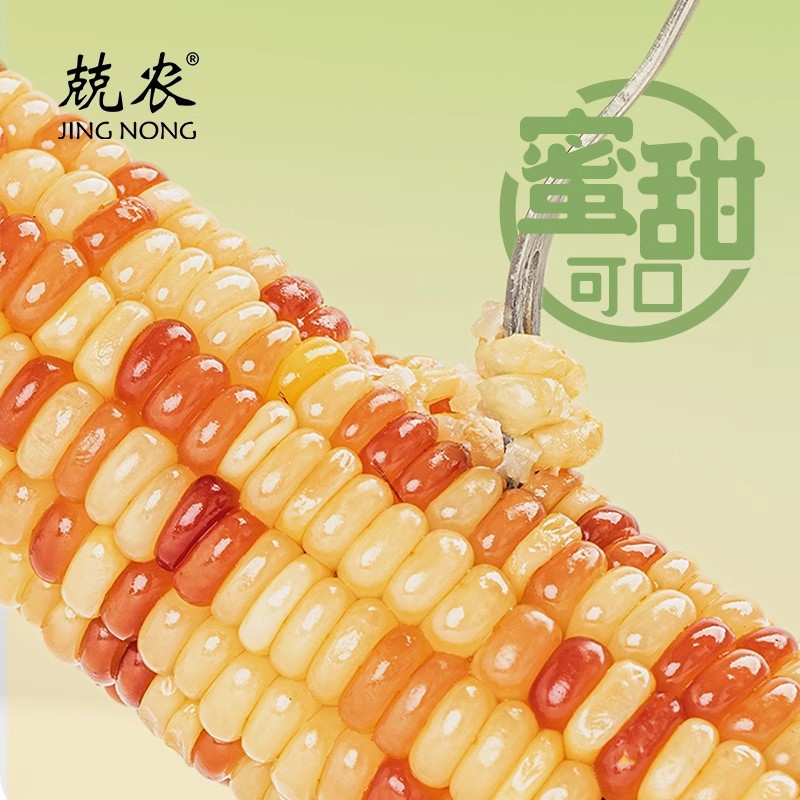Jingnong Heilongjiang 47 degrees north latitude yellow waxy corn white waxy corn sweet corn black waxy corn 200g vacuum packaging