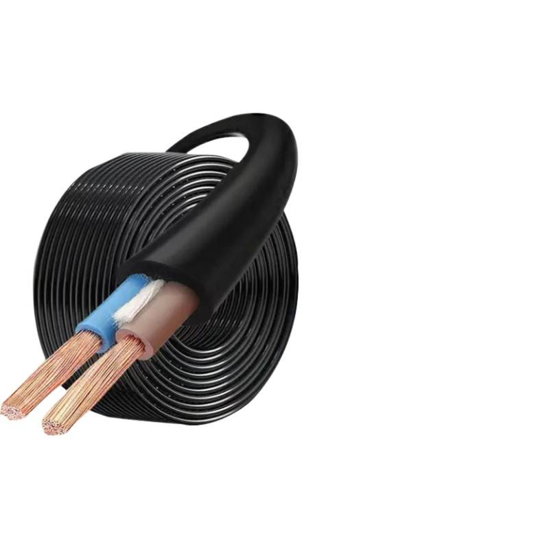 Soft Wire High-Power 2-Core Processing Dual-Core Wire 6 National Standard Wire Square 4 Cable Wire Other Free Shipping Wholesale