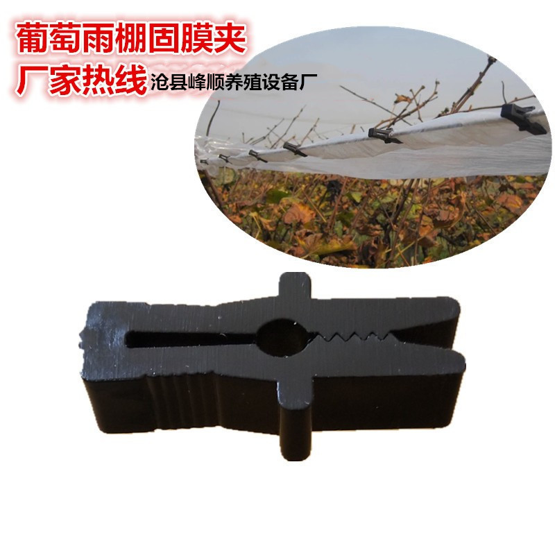 Заводская поставка зажимов для пленки, зажимы для пленки, зажимы для пленки для теплиц, зажимы для укрытия винограда