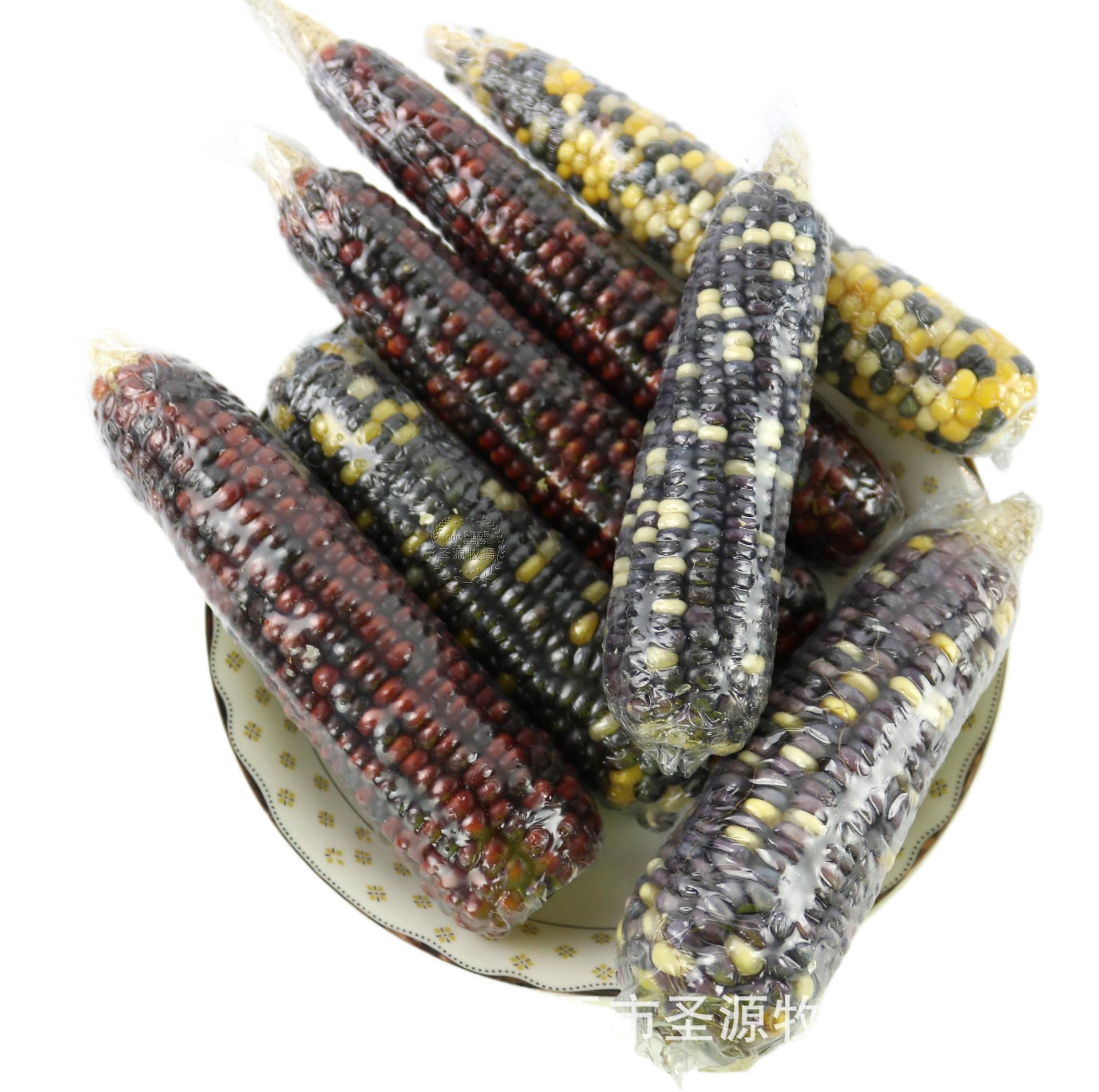 25-year-old seasonal mini corn hamster grinding teeth corn golden bear rabbit chinchilla flower twig mouse grinding teeth snacks