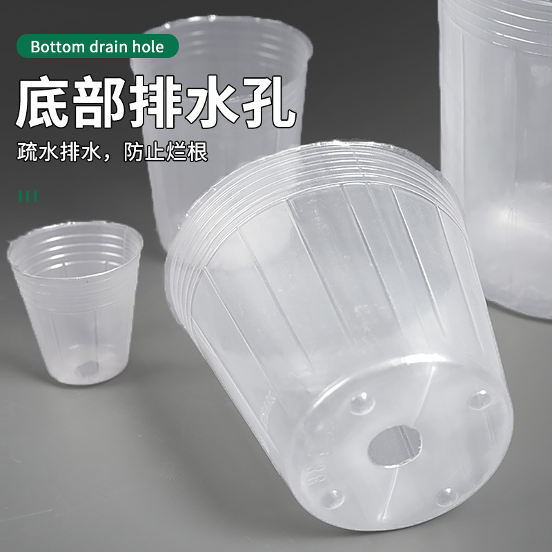 Cross-Border Transparent Phalaenopsis Nutrition Cup Black Nutrition Bag Disposable Nursery Cup Bowl Dendrobium Orchid Thickened Nutrition Bowl