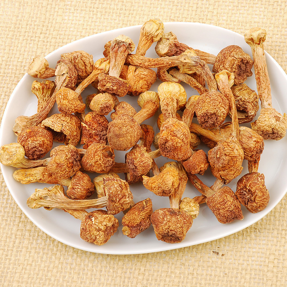 Wholesale Agaricus Matsutake Brazilian Mushroom Mushroom Farmhouse Direct Sales from Origin 500g