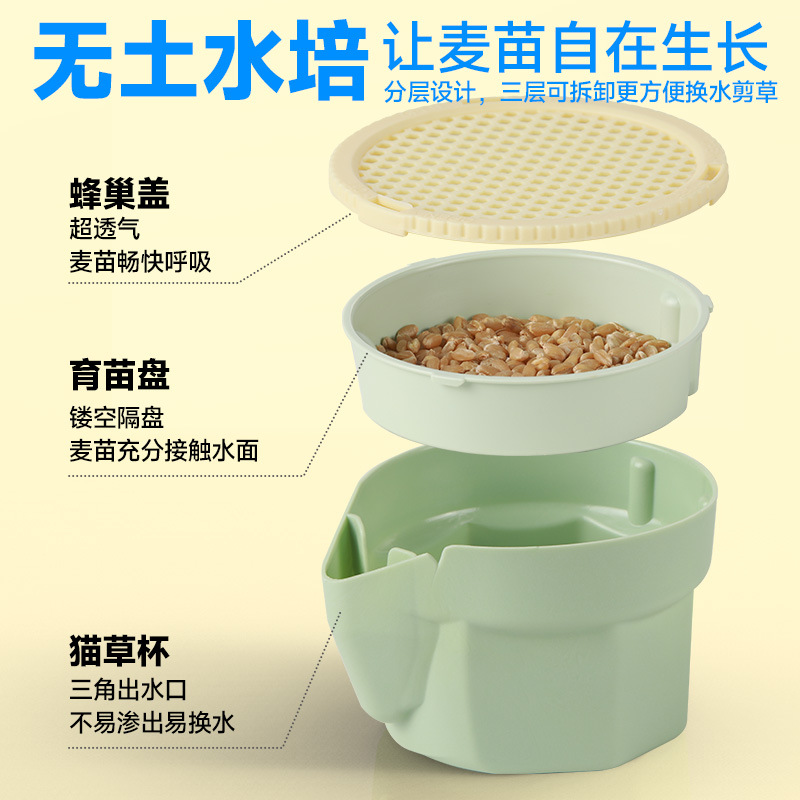 Sensen Cat Grass Potted Soilless Hydroponic Hair Lazy Self-Sown Cat Grass Kitten Cat Snacks Supplies Ready-To-Eat Cat Grass