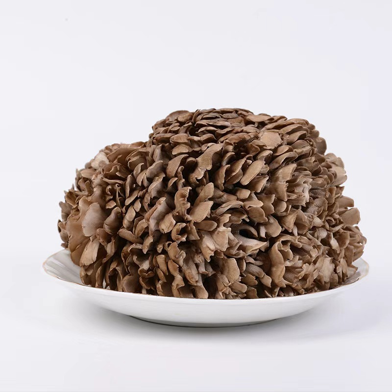 Yunnan Fresh Grifola Frondosa Hot Pot Mushrooms Catering Edible Fungi Wholesale Grifola Frondosa Mushrooms