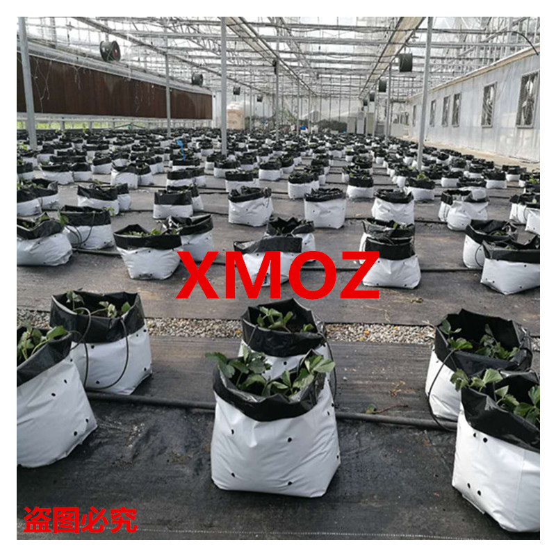Factory Spot Pe Black and White Planting Bag Substrate Bag Cucumber Vegetable Melon Fruit Cooling Film Planting Bag Gardening