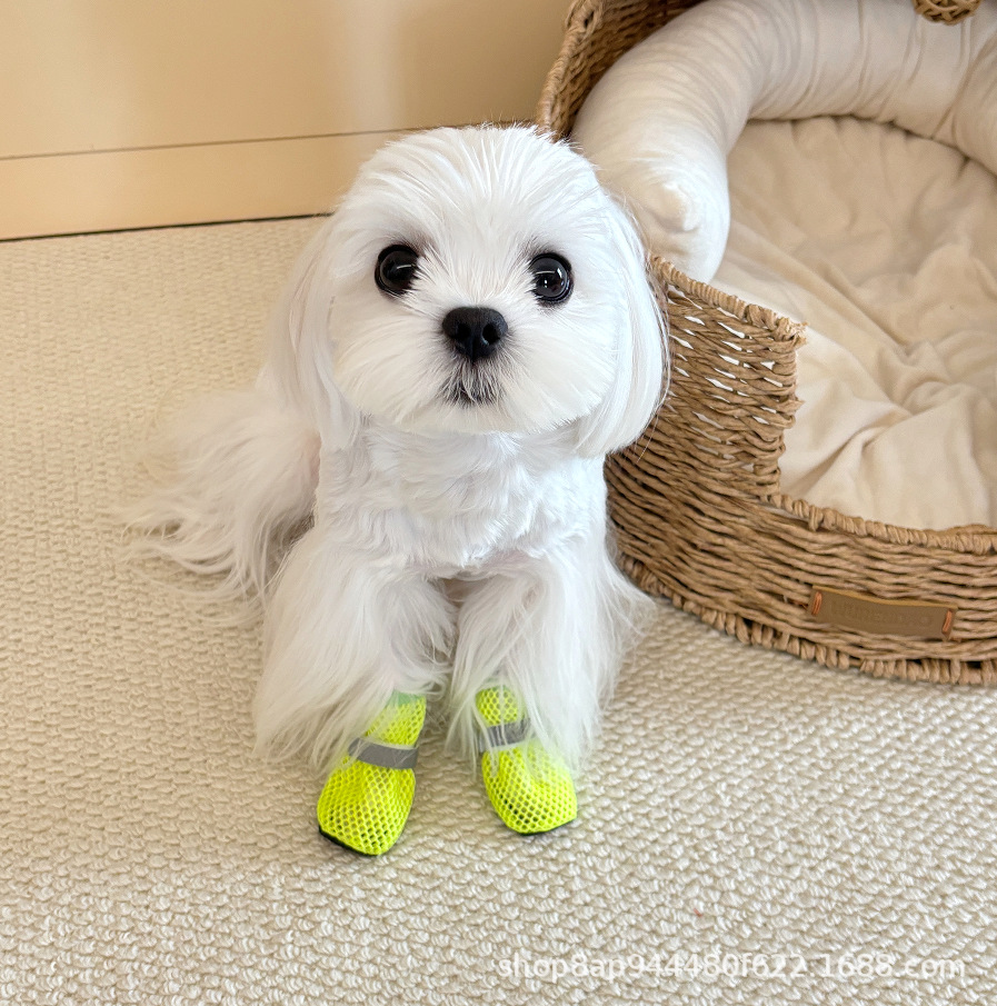 新款狗狗鞋子透气网眼夏季宠物用品防滑耐磨软底中小型犬外出网鞋