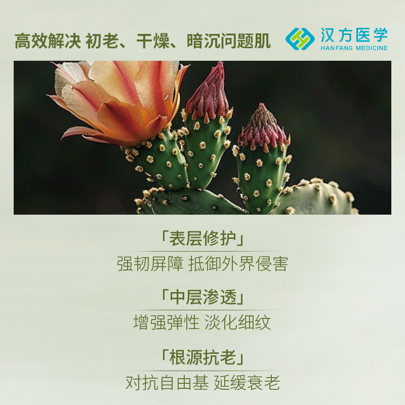 American and Chinese Cactus Fermented Double Anti-Aging Firming and Lightening Wrinkles Deep Hydration Improving Elasticity Repairing Collagen Pure Mask