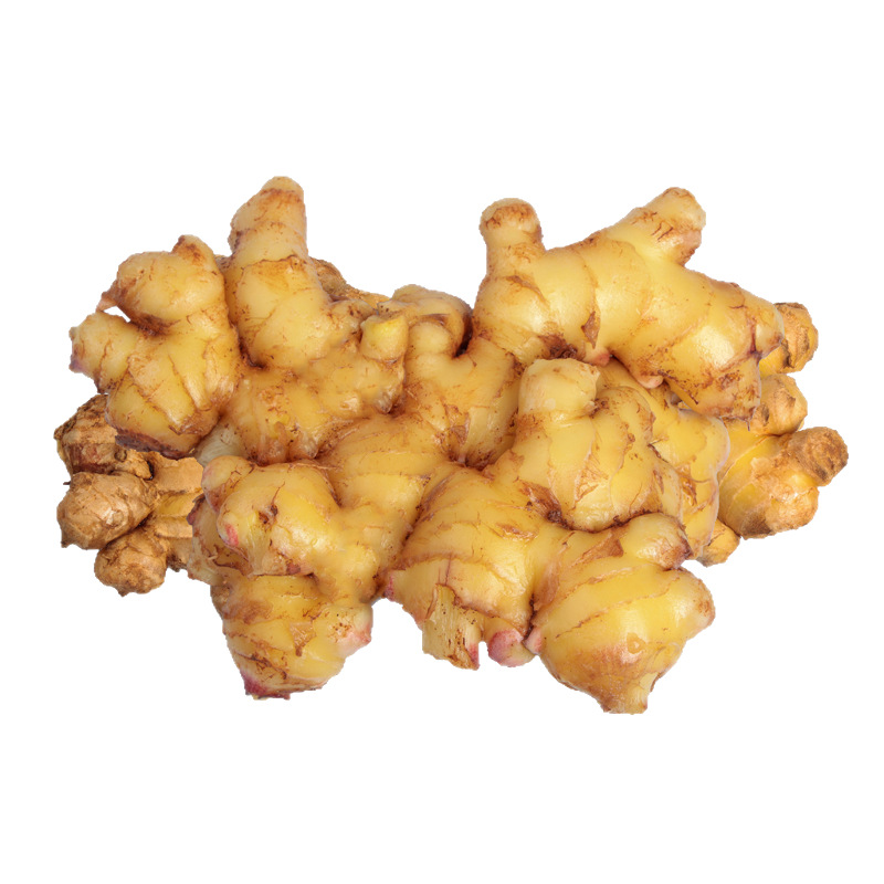 Fresh Ginger from High Mountains in Yunnan, Specialty Fresh Ginger, Postpartum Ginger, Small Ginger, Farm-Grown, Supply Chain Distribution