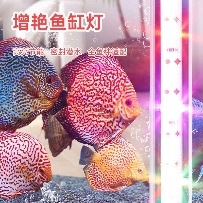 Double row diving fish tank lamp usb factory direct supply low voltage 5v brightening lamp led aquarium lighting fish admiring lamp