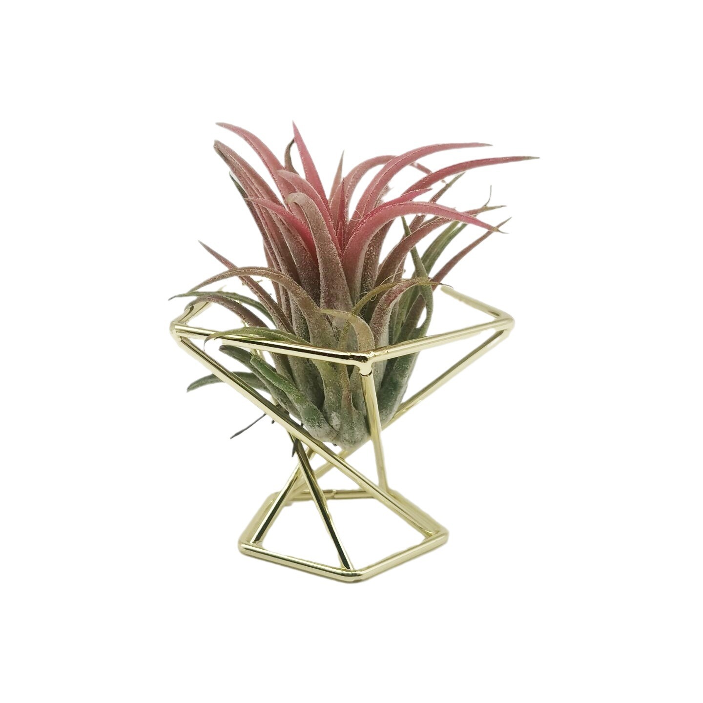 Pineapple Plant Stand, Geometric Air Plant Stand, Iron Orchid Stand, Beauty Egg Puff Storage Rack