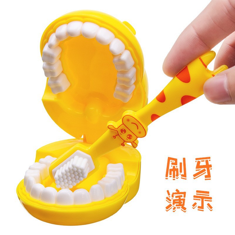Children's Dental Mold Toys, Play House Doctor Role Interactive Accessories, Removable Enlightenment Brushing Teaching Dental Tools Wholesale