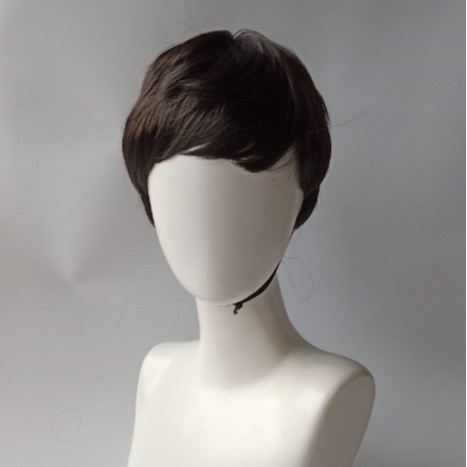 AliExpress Cross-border Wig Men's European and American Hot Selling Short Straight Hair Shattered Qi Bangs Full Head Cover Chemical Fiber Hair in stock First Hair