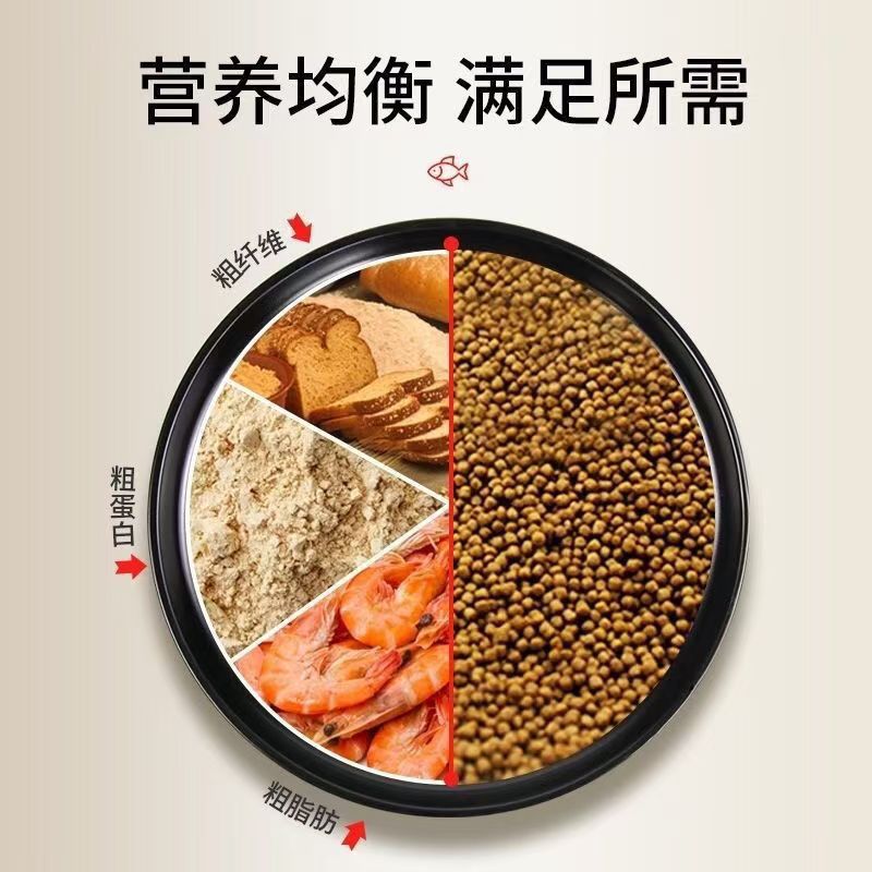 Wholesale Turtle Feed for Pet Turtles, Brazilian Turtle Food, Direct Supply from Manufacturer, Starter Feed for Young Turtles, Floating Pellets, Universal