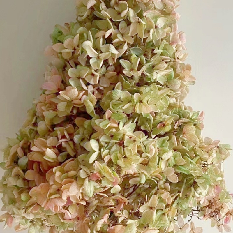 Eternal Flower Class A Wood Hydrangea Flower Head Handmade Material Diy Bag Valentine's Day Gift Box Filler Glass Cover Headwear