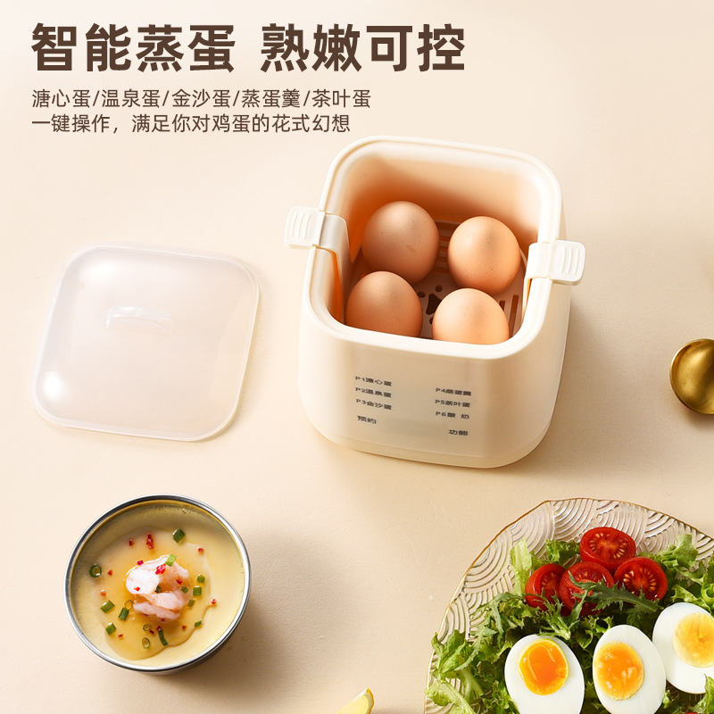 Mini Small Reservable Timer Breakfast Boiled Egg Cooker Automatic Power Off Fully Automatic Multi-Functional Egg Steamer