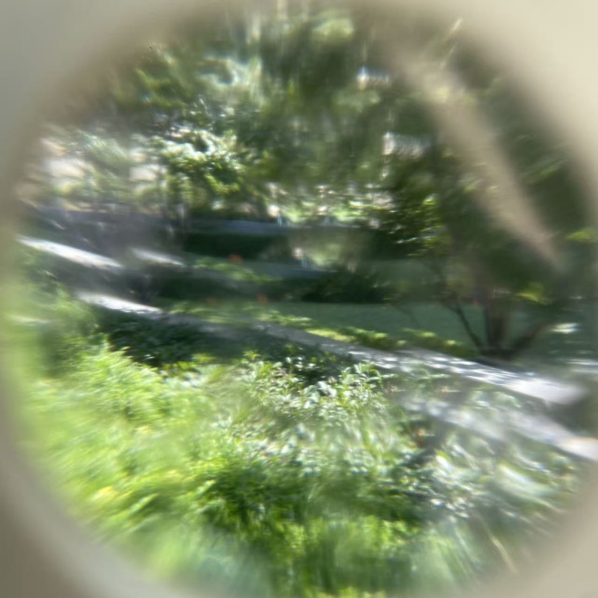 Children's Cartoon Wooden DIY Butterfly Kaleidoscope White Embryo Graffiti Clay Decoration Fun Wooden Toys Customization