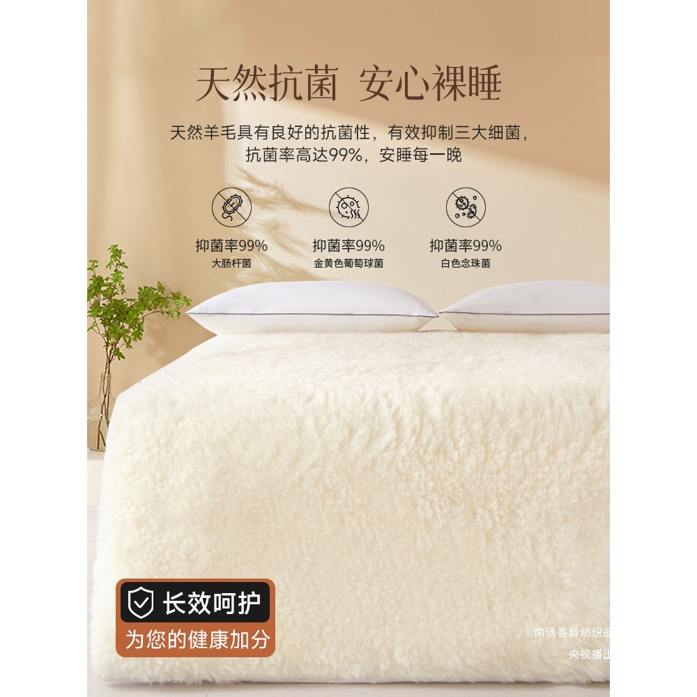 Wool Mattress Pad for Home Use, Winter Lamb Fleece Blanket, Thickened Warm Pad for Winter Bedding