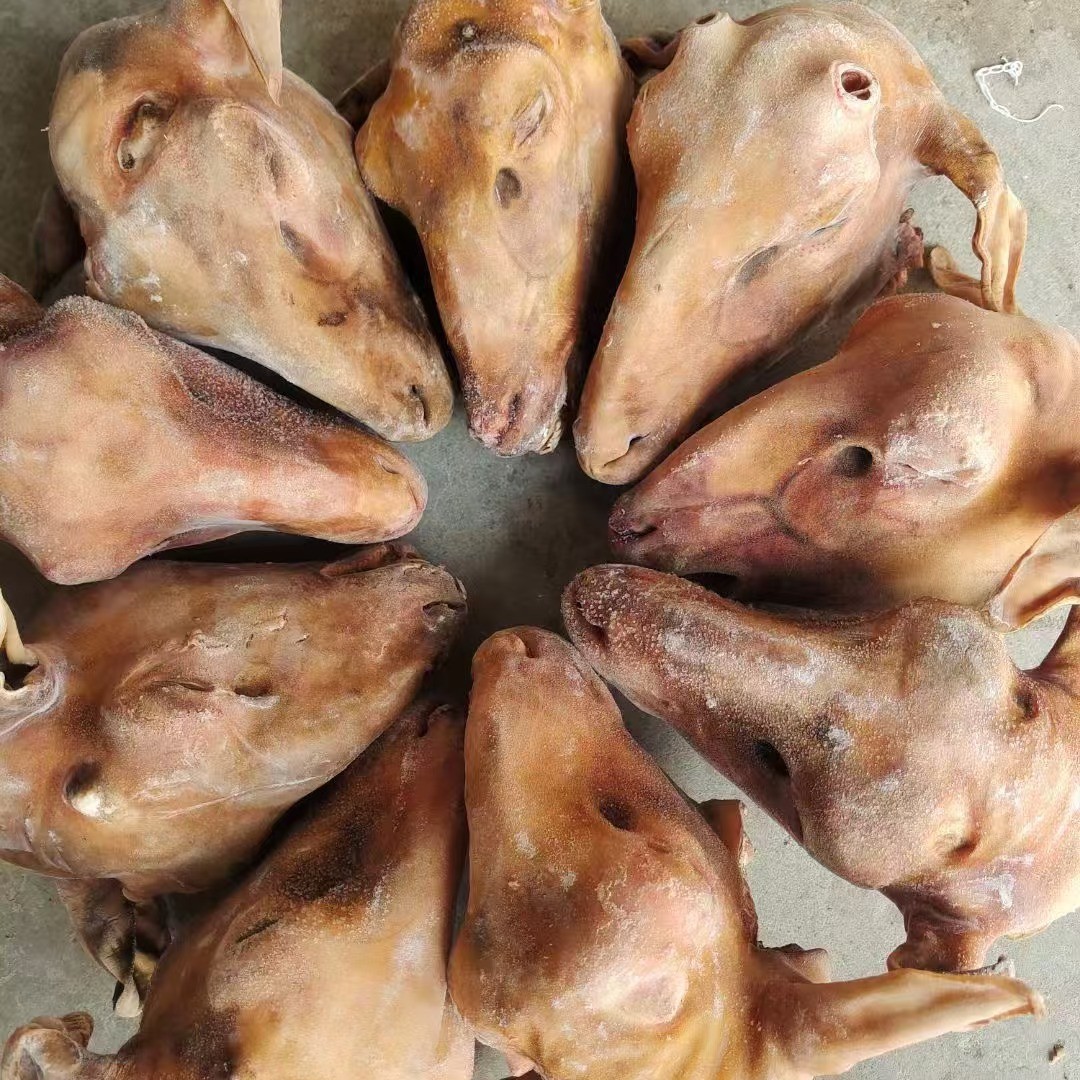 Свежая голова овцы с кожей, замороженная халяльная сырая голова овцы, целая голова овцы, свежее мясо головы овцы, бесплатная доставка для установки лотка