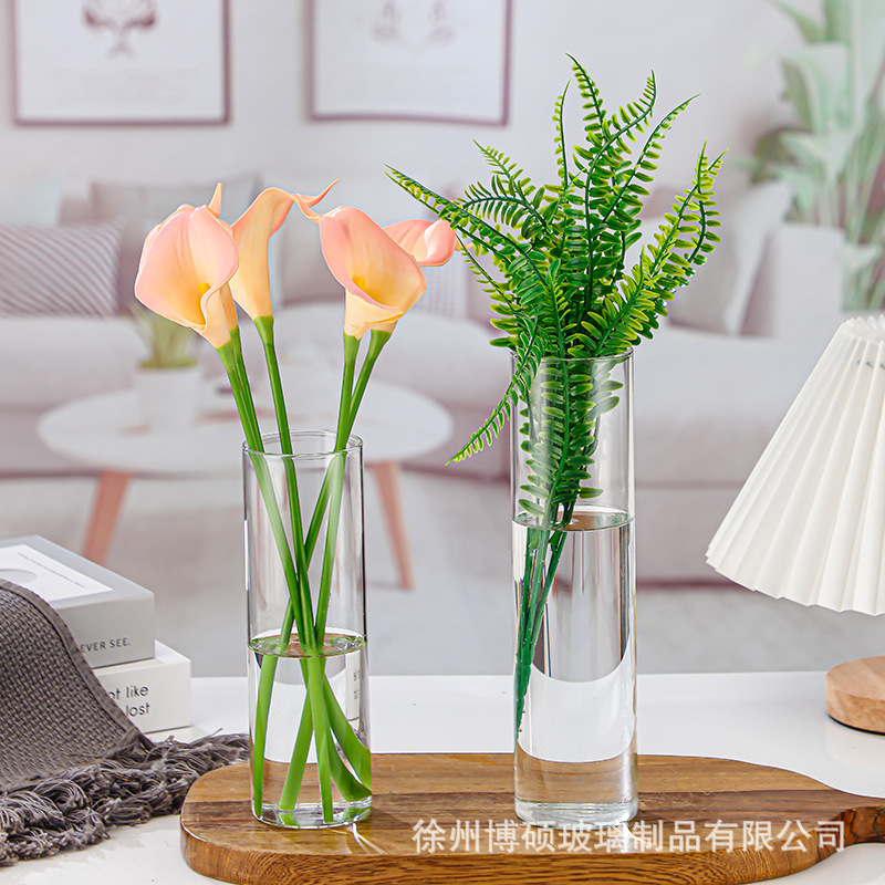 Прямая стеклянная ваза в скандинавском стиле, простая гидропонная ваза для цветов, доступная роскошь, декор для дома с сухими цветами