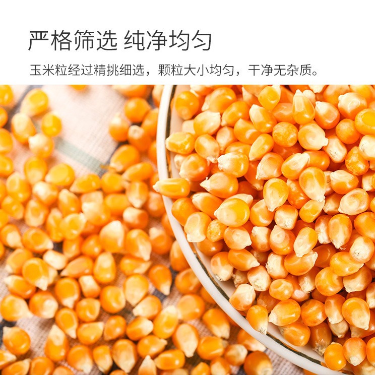 Factory direct supply household popcorn machine special popped corn kernel spherical 100 grams 10 packs of homemade DIY corn kernels