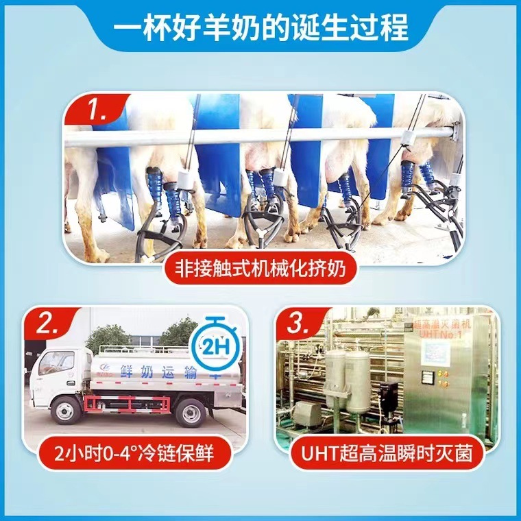 Zhuomu goat milk fresh milk pure goat milk goat milk raw goat milk high calcium children adult liquid milk factory full box wholesale