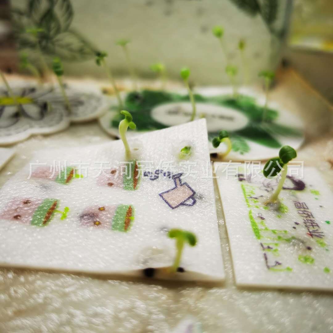 Biodegradable Germination paper seed paper Red Envelope seed paper Name Card Tag paper Card