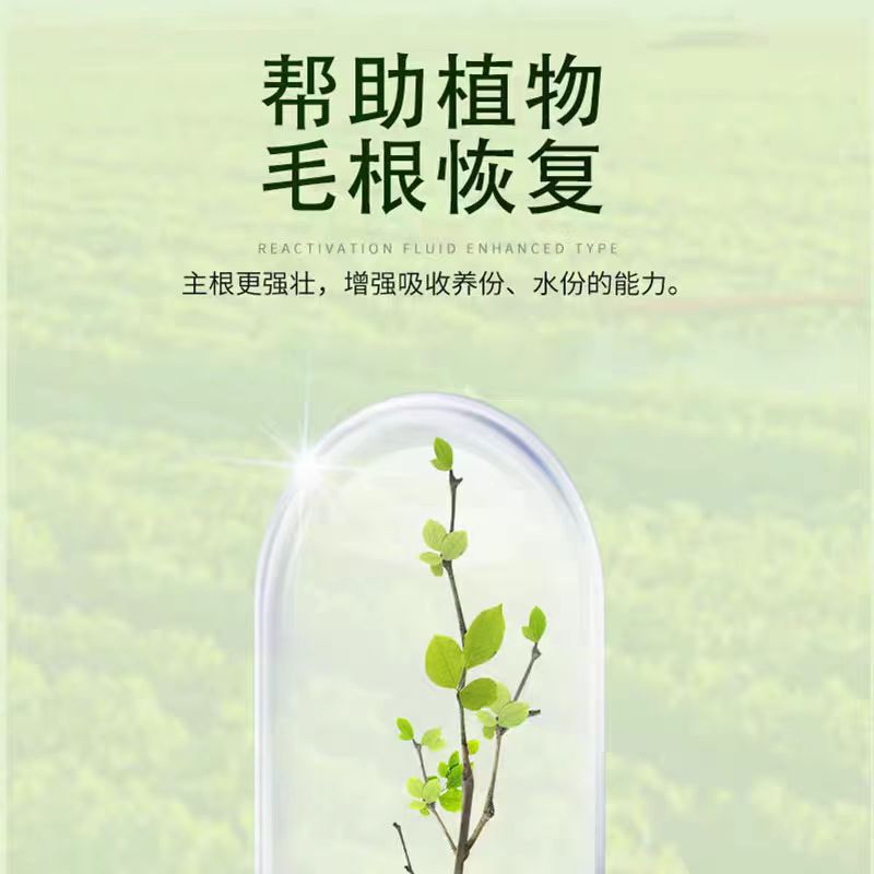 Universal Plant Flower Resurrection Solution for the Rapid Enhancement of Auxin Activity against Yellowing and Leaf-dropping of Light-rod Plants