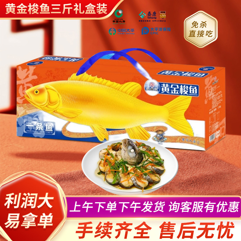 Хороший старт в финансах, банковском деле и страховании: подарок в виде золотого барракуды, символизирующего удачу и процветание, в подарочной коробке