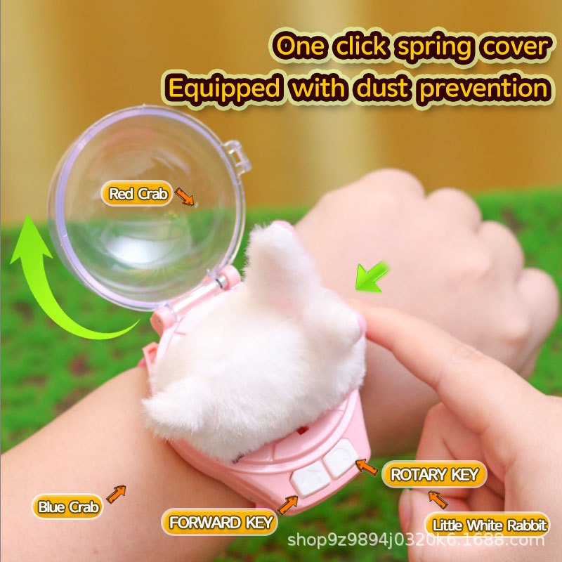 Children's Watch Remote Control Car Mini Plush Toy Car Boy's Mini Capibara Car Wholesale